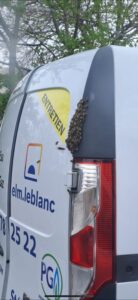 recuperation sos essaim abeille recuperation sos essaim abeille