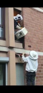 recuperation sos essaim abeille recuperation sos essaim abeille