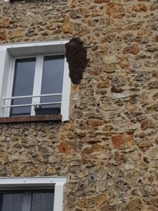 recuperation sos essaim abeille recuperation sos essaim abeille