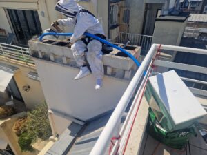 RECUPERATION SOS ESSAIM D’ABEILLES